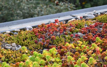 the cost of Urquhart green roof installation