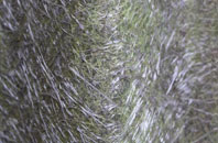 Urquhart fibreglass roof work